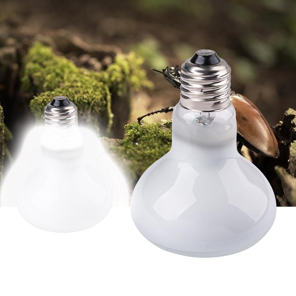 Amfibieën Verwarmingslamp UVA- - Basking Bulb Halogen recensie en prijs