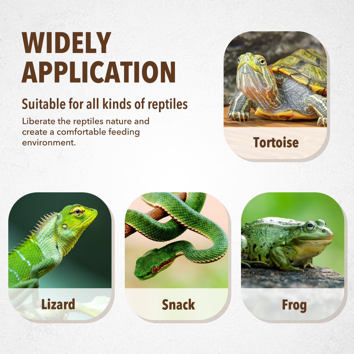Voerbak voor huisdieren van ha - Water Dish Reptile recensie en prijs