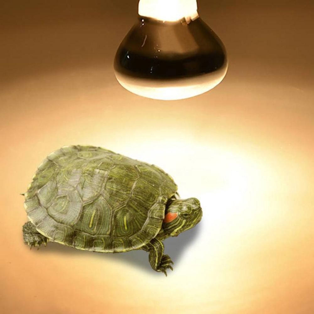 Schildpad Warmtelamp Verwarmin - Basking Bulb Halogen recensie en prijs