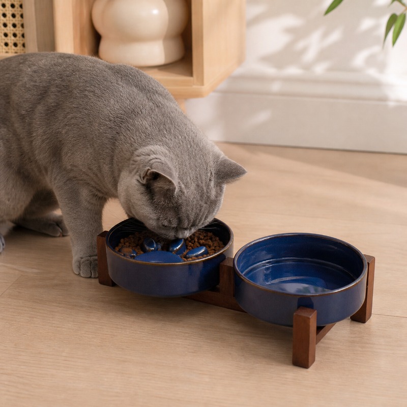 Keramische voerbak voor huisdi - Royal Canin Food Medium recensie en prijs