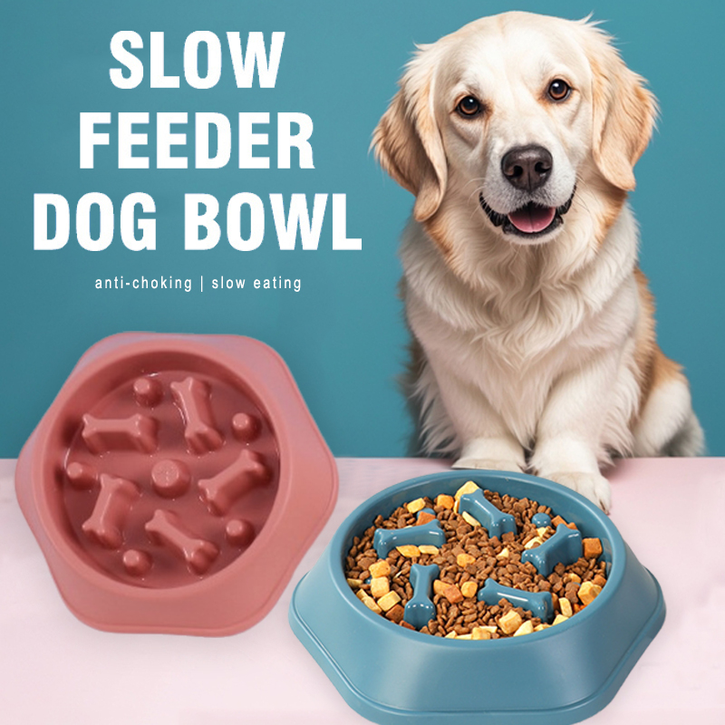 Slow Feeder Hondenbak Anti-ver - Royal Canin Food Medium recensie en prijs