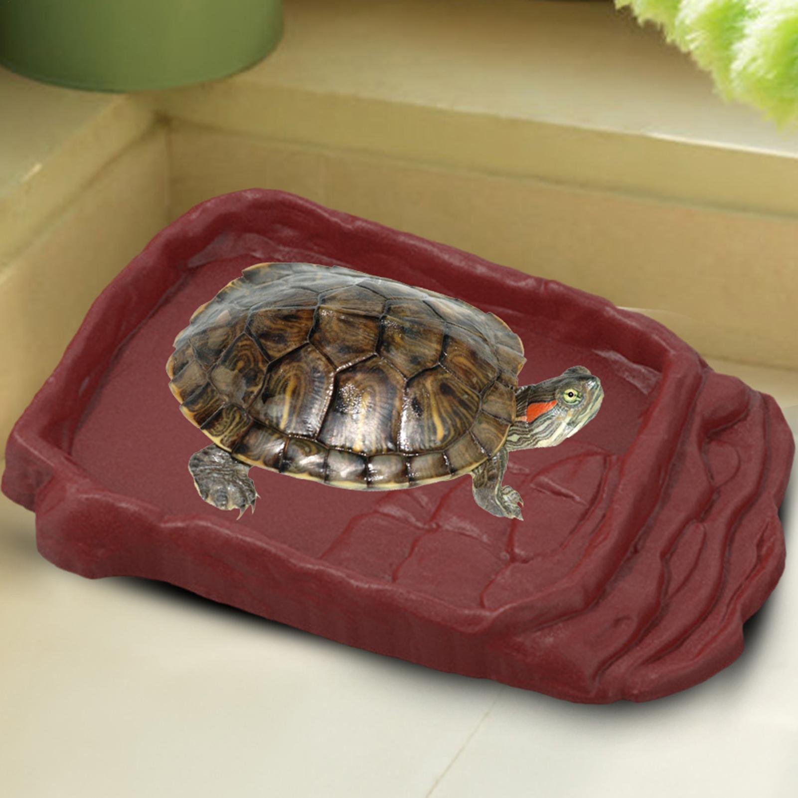 Schildpad Badkuip Waterschotel - Water Dish Reptile recensie en prijs